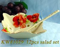 KW81029 12PCS SALAD SET
